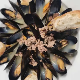 shellfish, oysters and mussels, oysters, mussels, food