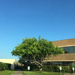 The entrance walkway.