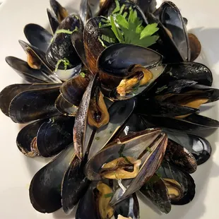 Mussels Special! (06/06/22)
