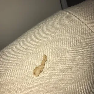 BONE inside of cheesesteak