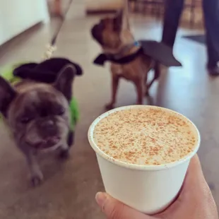 Pumpkin Chai