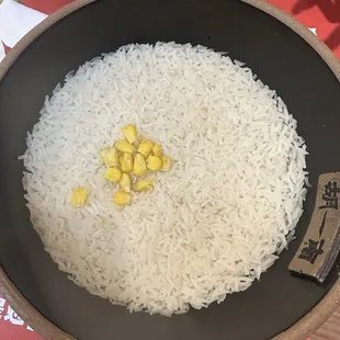 Rice