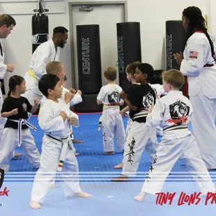 MegaKick Tiny Lions Program - Ages 4 &amp; 5