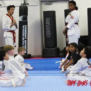 MegaKick Tiny Lions Program - Ages 4 &amp; 5