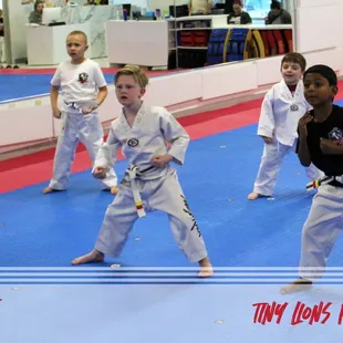 MegaKick Tiny Lions Program - Ages 4 &amp; 5