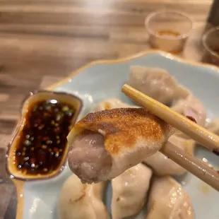 Pot Stickers