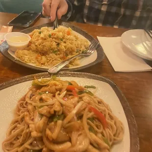 Garlic Chicken Fried Noodles and the chicken Fried Rice