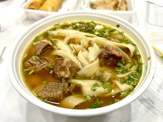 Master Noodle