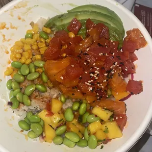 Spicy tuna salmon master bowl