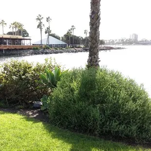 Paradise Point San Diego Ca