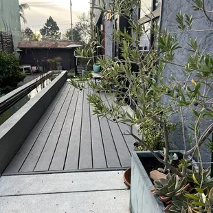 Leading up to the cafe (you can also get there through the store)