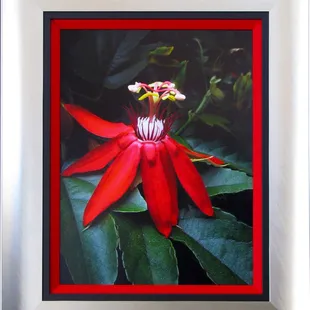 JUST the Right Frame!!