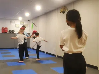 Blue Leaf Kung Fu