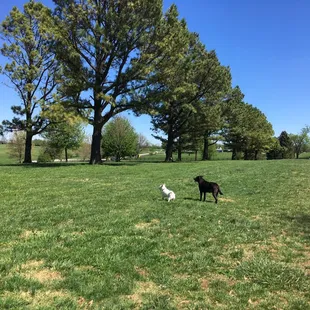 Blue Sky....in April