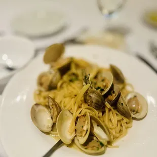 Mastrioni's