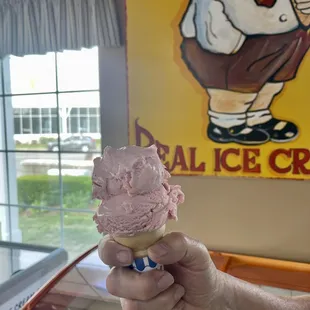 Two scoop strawberry ice cream.