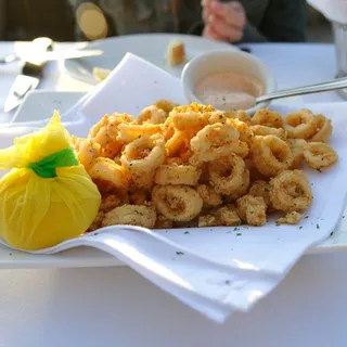 Fried Calamari