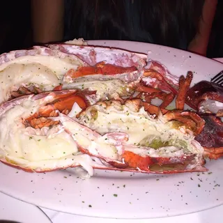 Broiled Live Maine Lobster