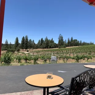 Looking over the vineyards