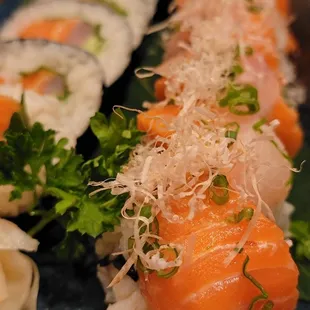 Nemo roll