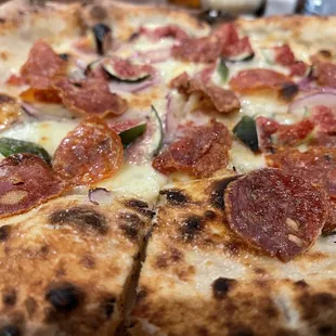 Spanish Chorizo on my Ficus