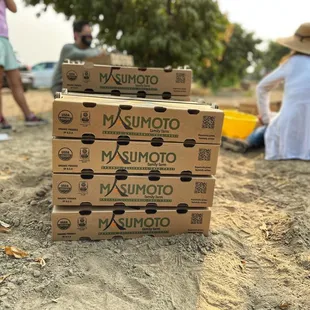 Matsumoto Farm (our haul after a morning of picking fruit)