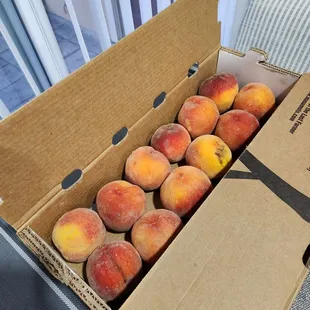 OUFab Sun Crest Peaches