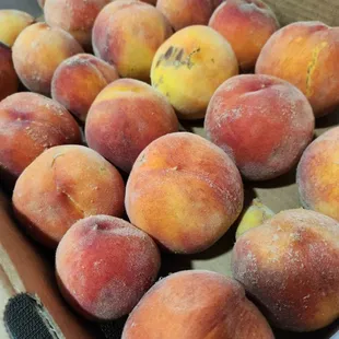 Sun Crest peaches, OUFab ("ugly" or imperfect). They were all incredible tasting.