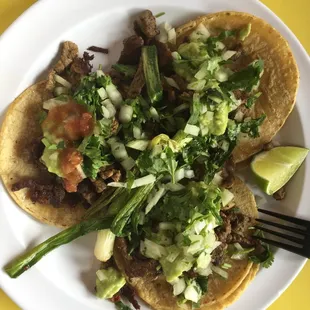 Pollo Asada Taco