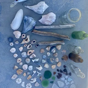 The treasures we collected at the beach!