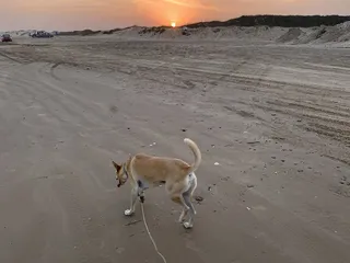Quintana Beach County Park