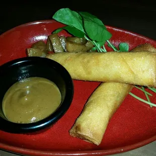 Duck Spring Rolls