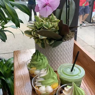 Plain Ice Matcha Latte