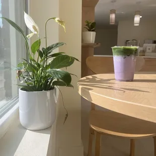 Levander matcha latte with oat milk