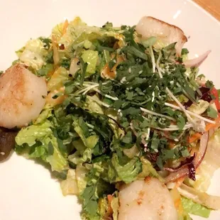 Ahi Tuna Salad