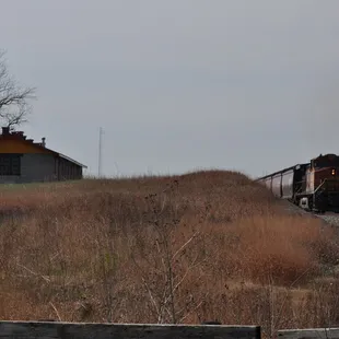 Looking south as a BNSF Grain Train passes by.