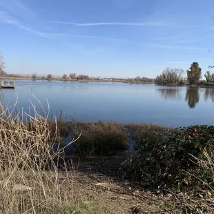 View from trail next to the lake.