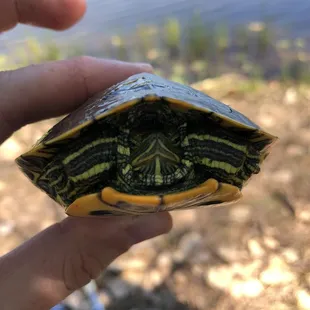 If you fish here, expect to reel in some oddball things......