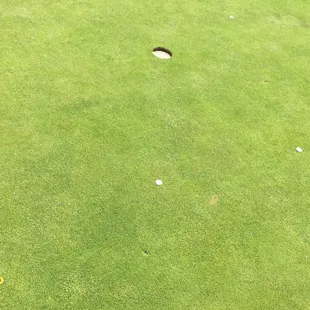 Our ball marks tell a LOT about us... University Michigan, Green Bay Packers, University of Wisconsin, and the Army Black Knights...