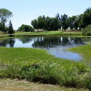 Par three, hole #11.