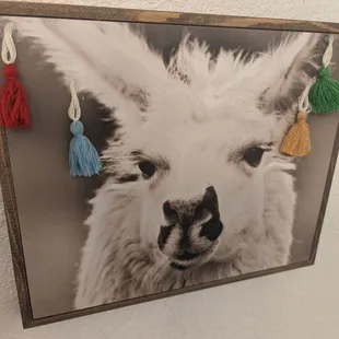 Fun art in the lavatory