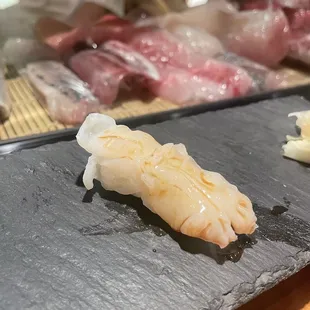 Raw Octopus