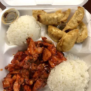 Spicy chicken teriyaki + gyoza