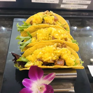 Seared Tuna Taco