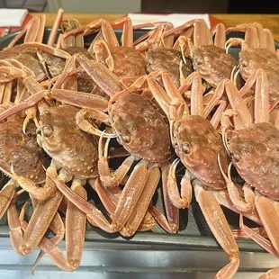 In Season now! 
Seikogani (Female Snow Crab w/ its eggs and kanimiso)