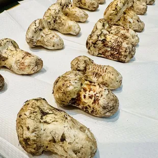 Matsutake(seasonal Matsutake mushrooms): served as Dobinmushi