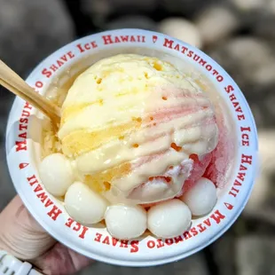 Tropical Shave Ice!