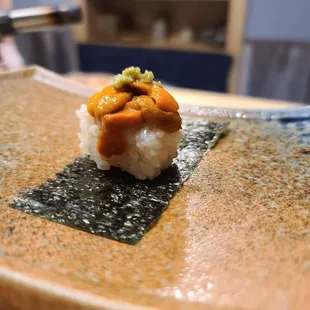 Sea urchin