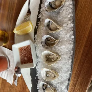 Oysters on the 1/2 shell