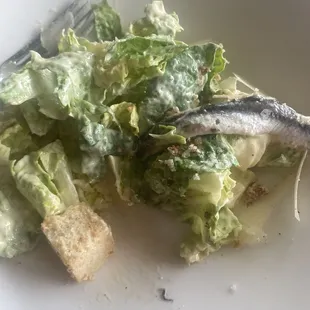 Classic Caesar Salad